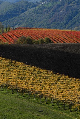 Storie di una Terra